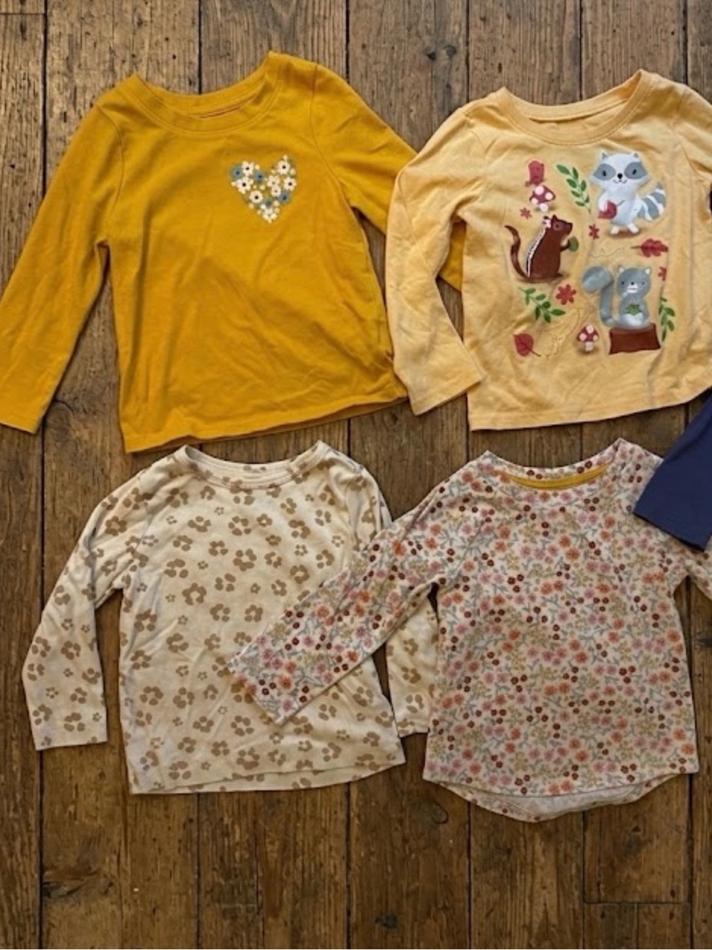 Huge Fall Autumn Halloween, Toddler Girl Clothing Lot Bundle 18M 24M 2T Seasonal - Picture 8 of 9